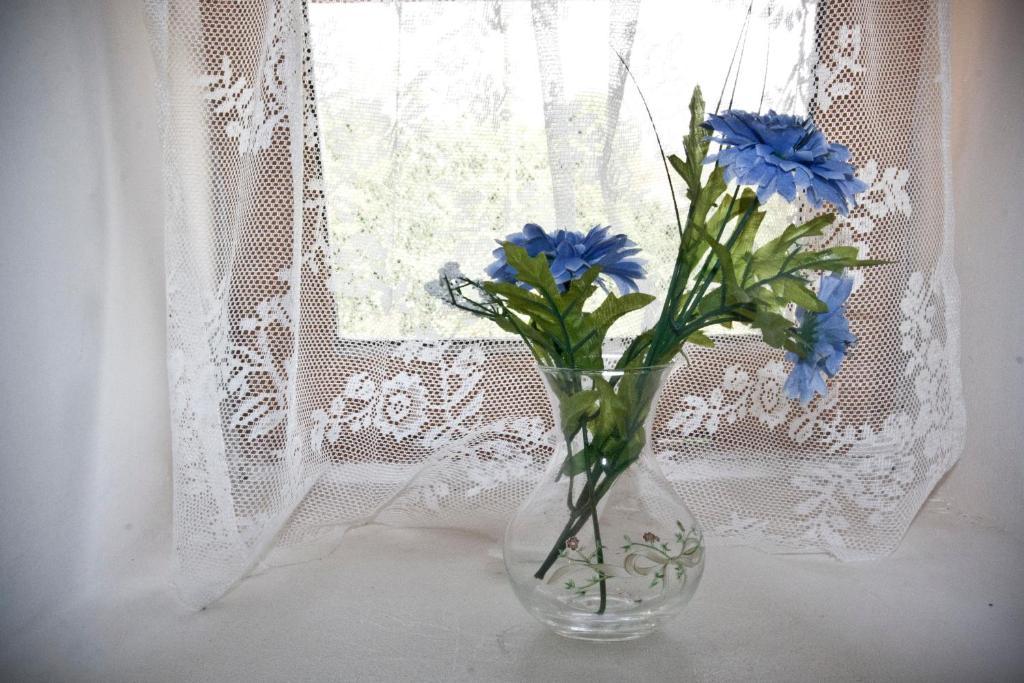 Domaine Le Chec Bed and Breakfast Saint-Ost Buitenkant foto